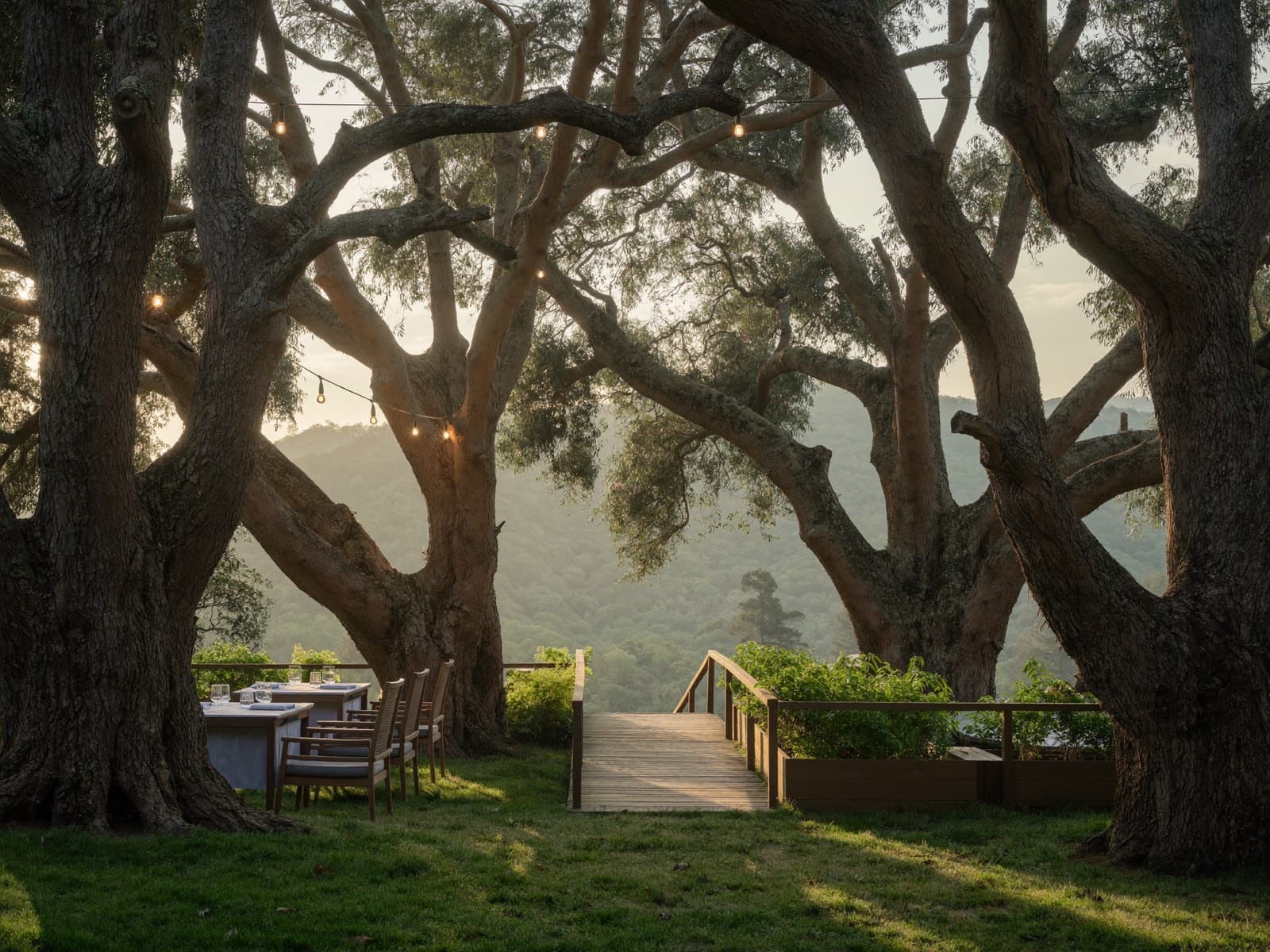 Sunlit forest walkway winding through the IkigaiLand terrace